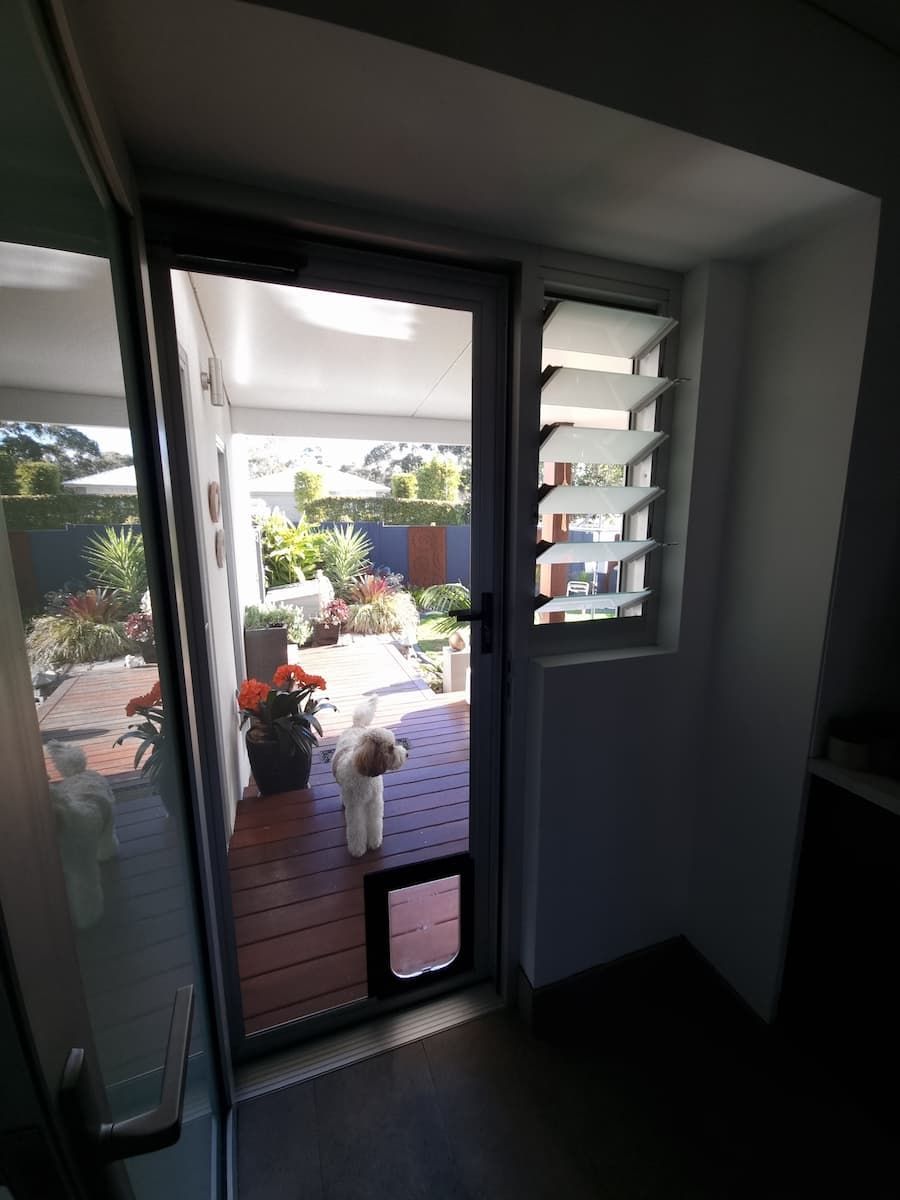 A Dog Is Standing In Front Of A Sliding Glass Door — South Coast Glass In South Nowra, NSW