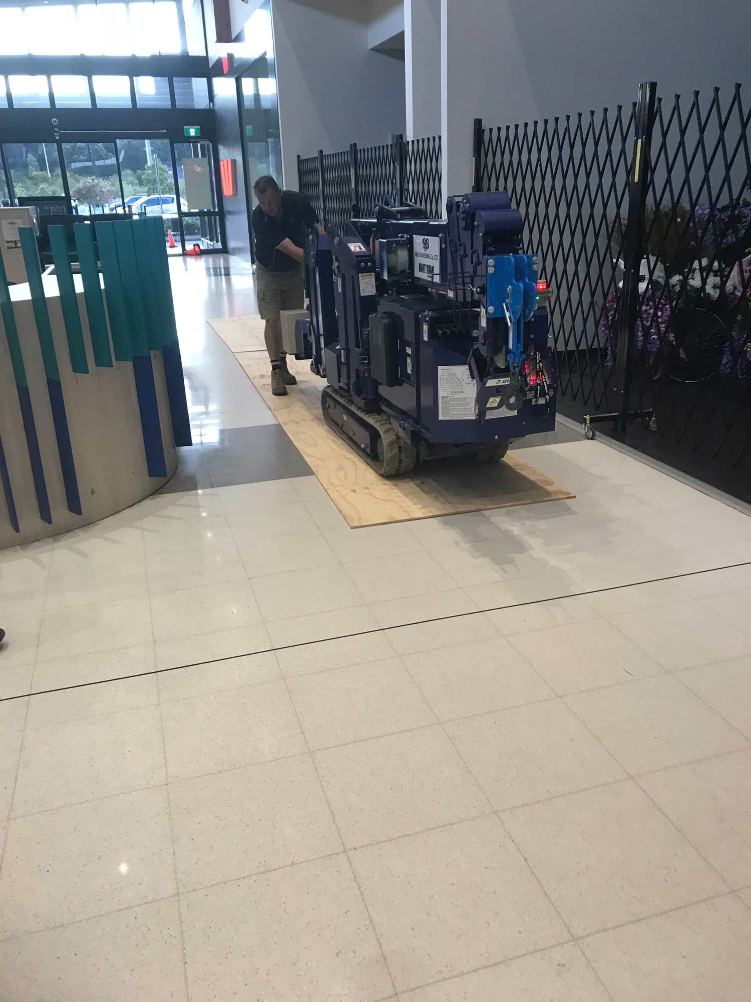 A Blue Crane Heading out of the Mall — South Coast Glass In South Nowra, NSW