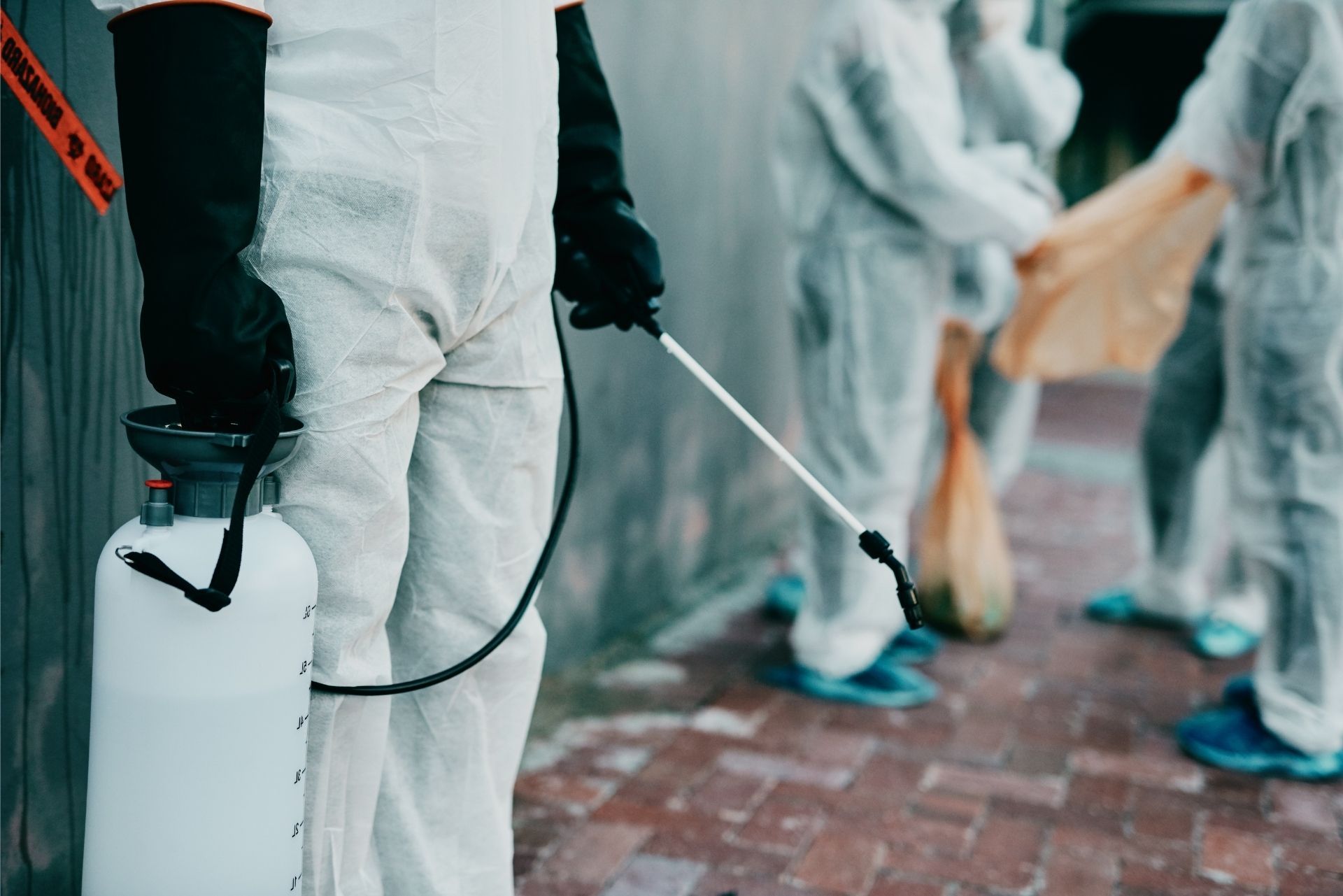 Florida Pest Control Insurance (Free Online Quote)