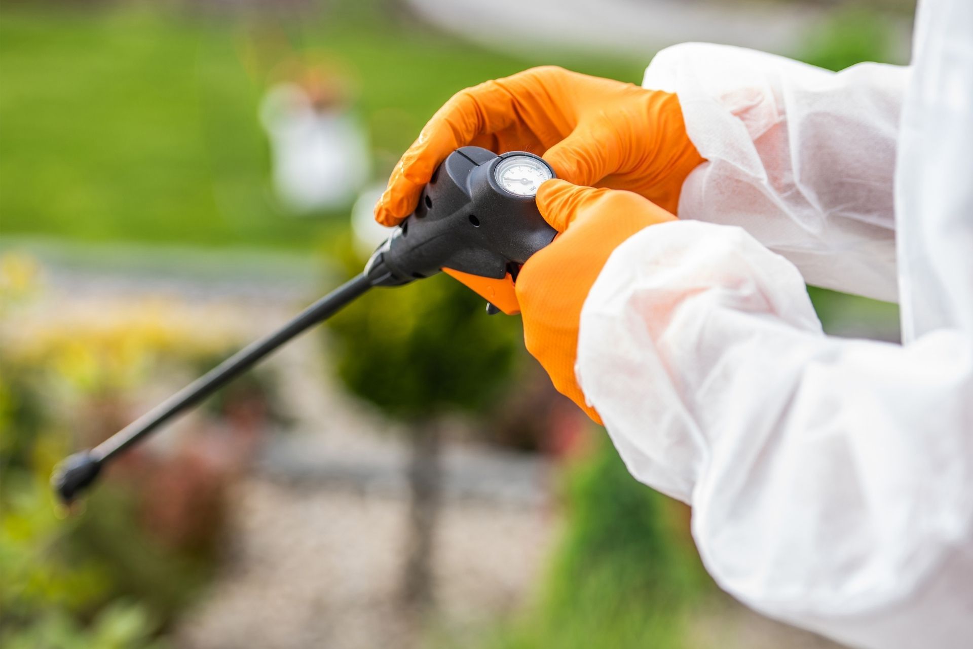 Florida Pest Control Insurance (Free Online Quote)