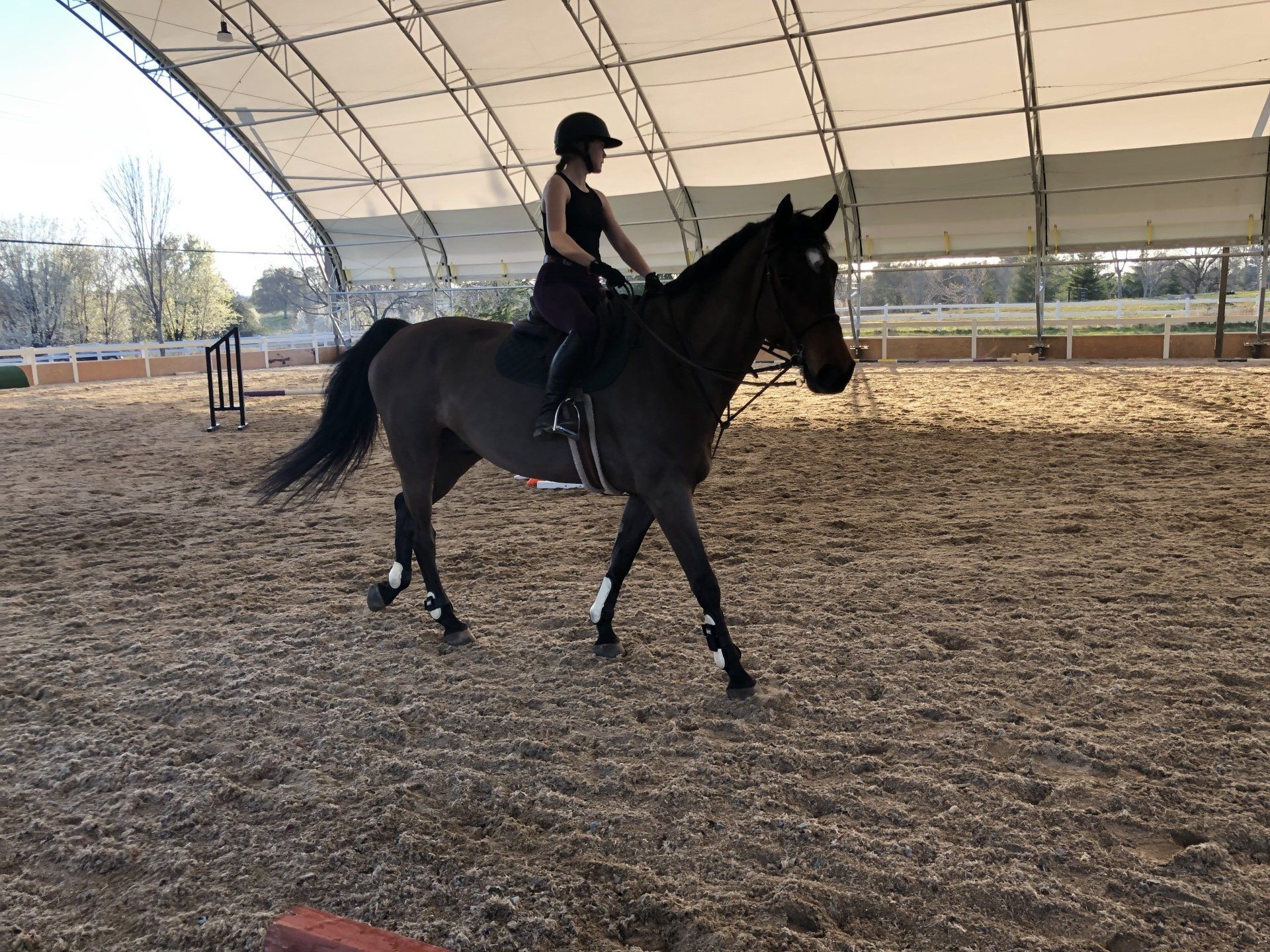 Rider on a black horse in an indoor arena, moving at a calm walk under a covered roof.
