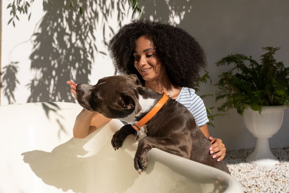 Uma mulher está sentada em um sofá com um cachorro no colo.-Pousada-Morada-dos-Passaros