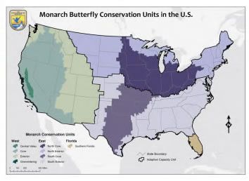 Map of U.S. monarch butterfly conservation units in varied colors by region.