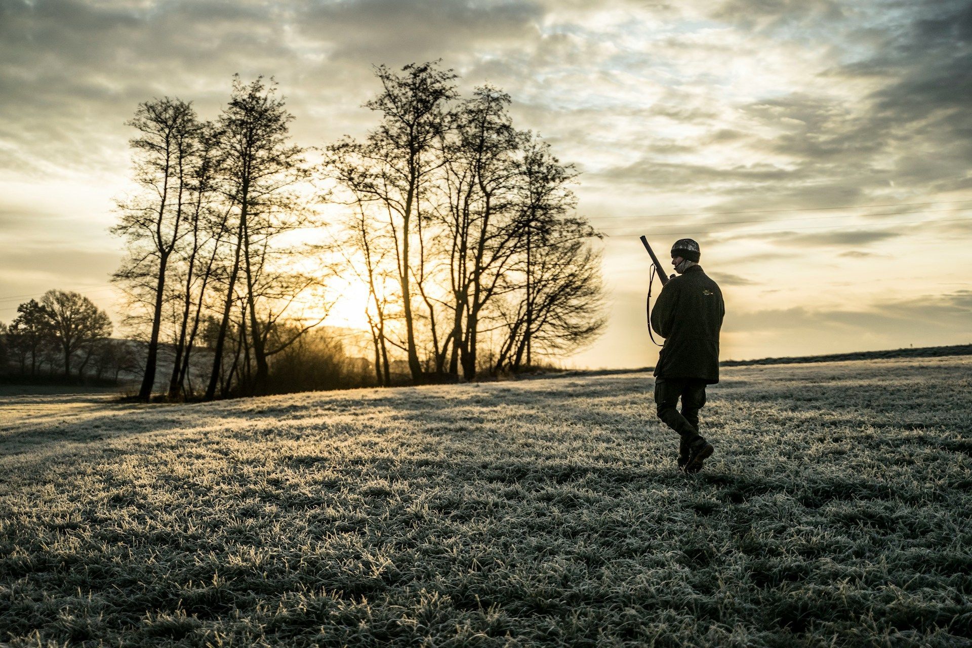Person standing in a frosty field at sunrise, with bare trees silhouetted against a cloudy sky.