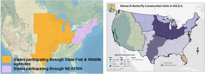 U.S. map and Texas inset showing orange/purple areas for striped bass spawning habitat and range.