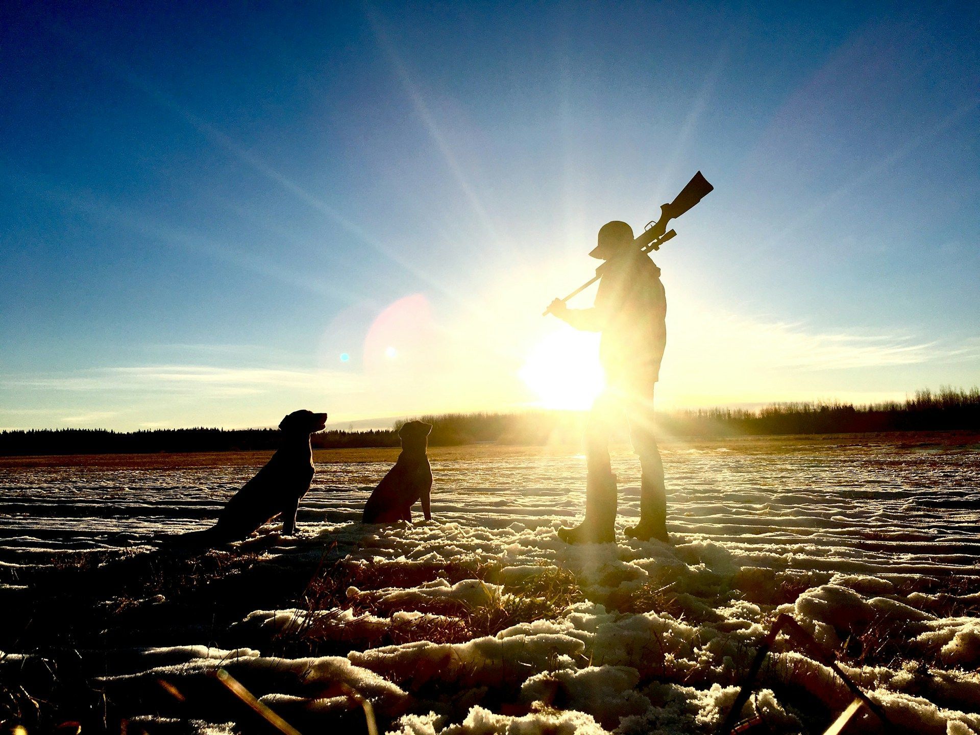 Person standing on a snowy field at sunset, silhouetted against the bright sky with a dog nearby