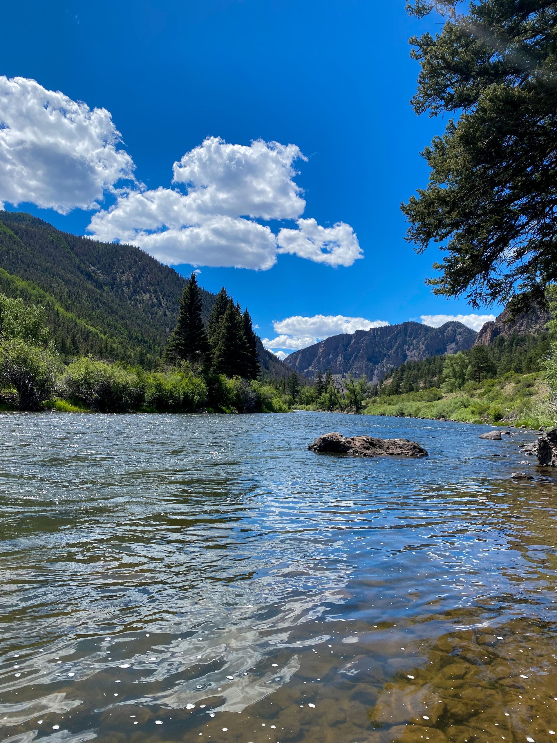 Mountain river under a bright blue sky with clouds, framed by green hills and rocky banks