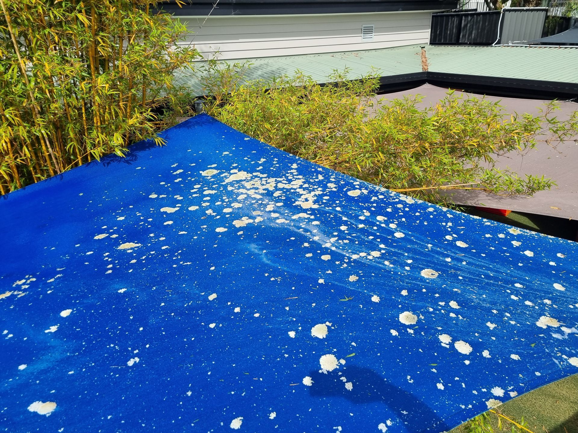 A Blue Tarp With a Lot of White Spots on It — All Clean Pressure Cleaning in Valentine, NSW
