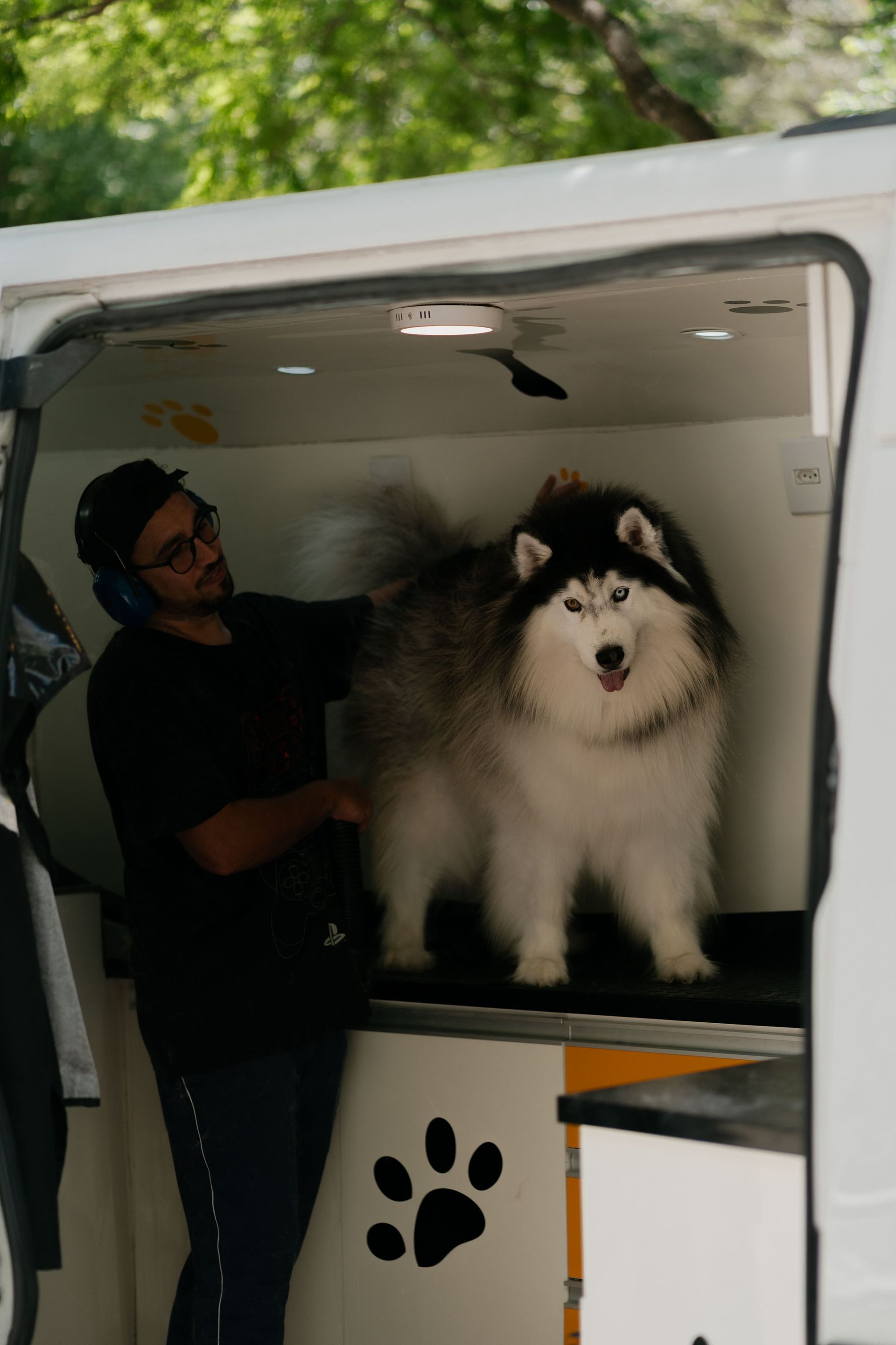 Man standing beside a fluffy black-and-white dog in a white pet van with a paw-print logo