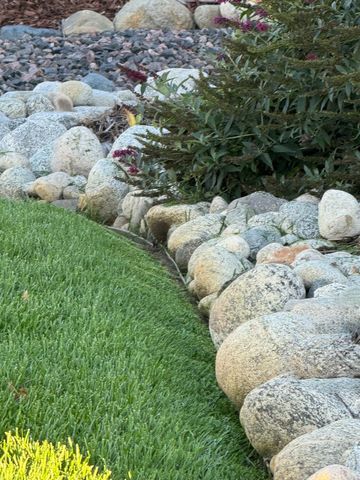 Lush green lawn borders a gravel bed with rounded shrubs and large rocks in a garden setting.