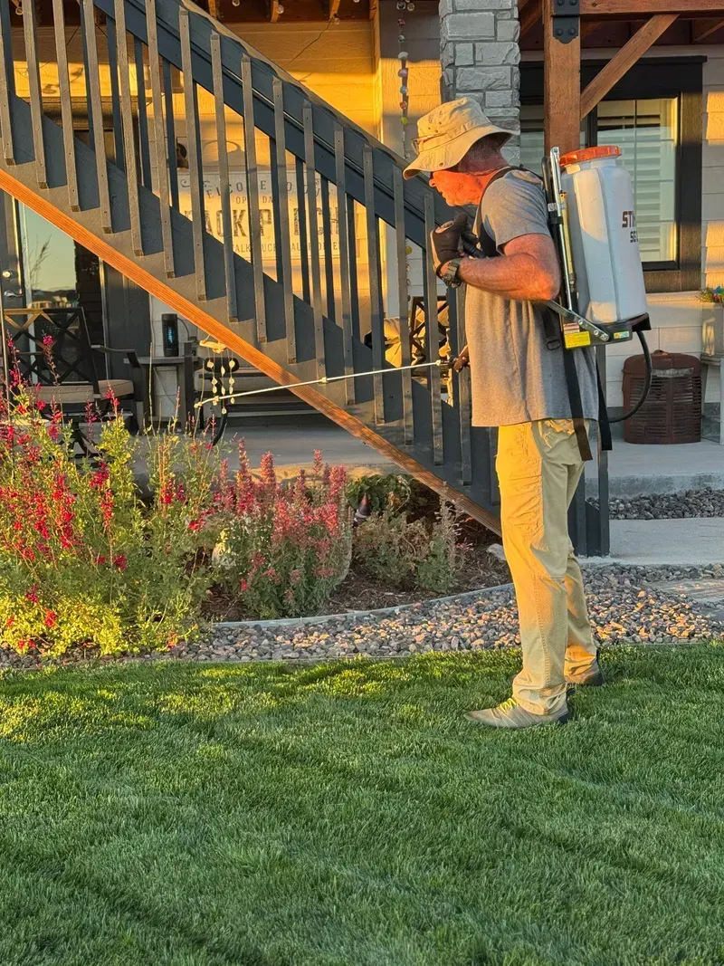 Man sprays a garden with a backpack sprayer in front of a house at sunset.