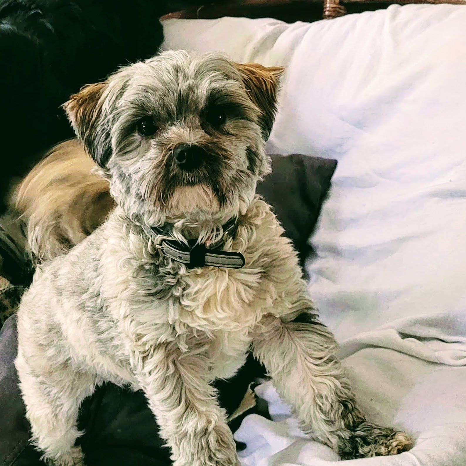 Maggie May, Head of Security at Iva's Place