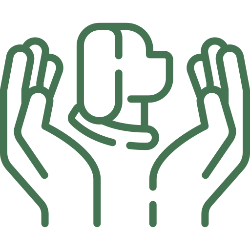 Care icon — hands cradling a pet