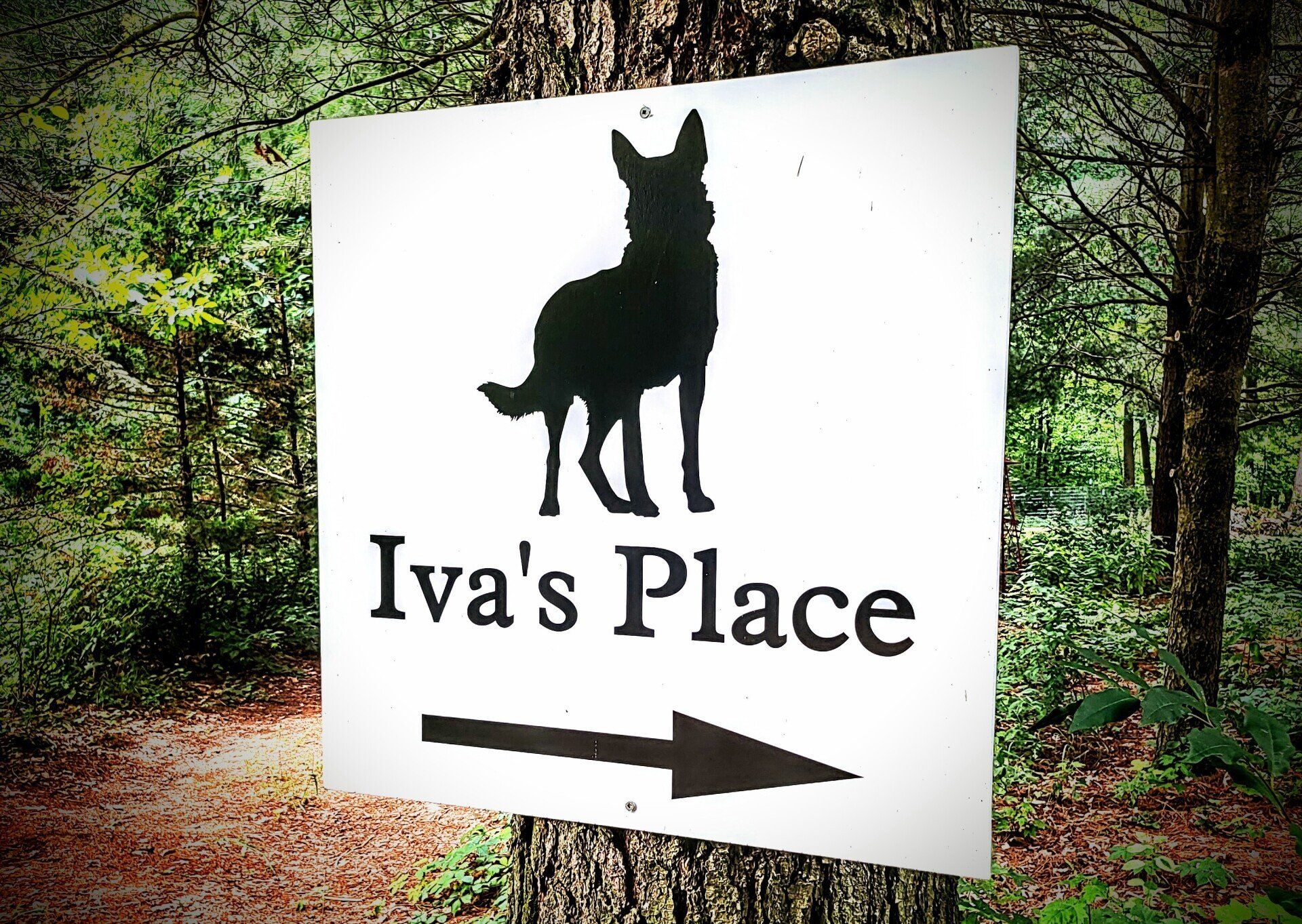 Iva's Place directional sign on a wooded trail