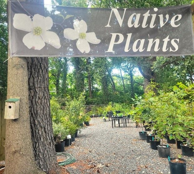 VA Greenhouse TA London Bridge Virginia Beach, VA Nursery