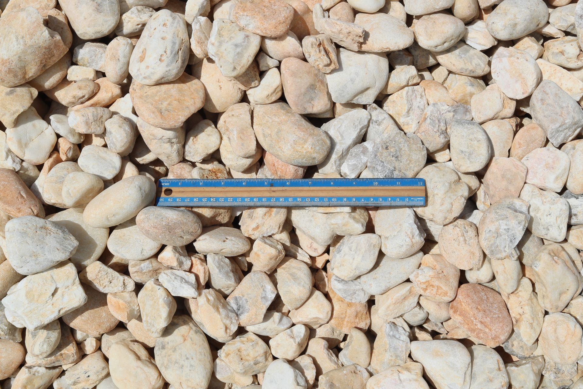 1-3″ Large Pearl Pebble