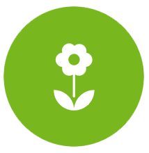 Flower Installation icon