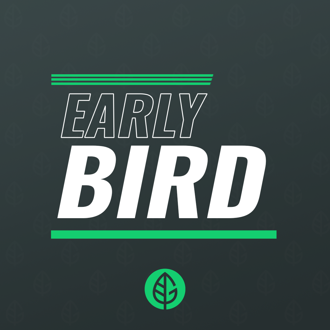 Early Bird