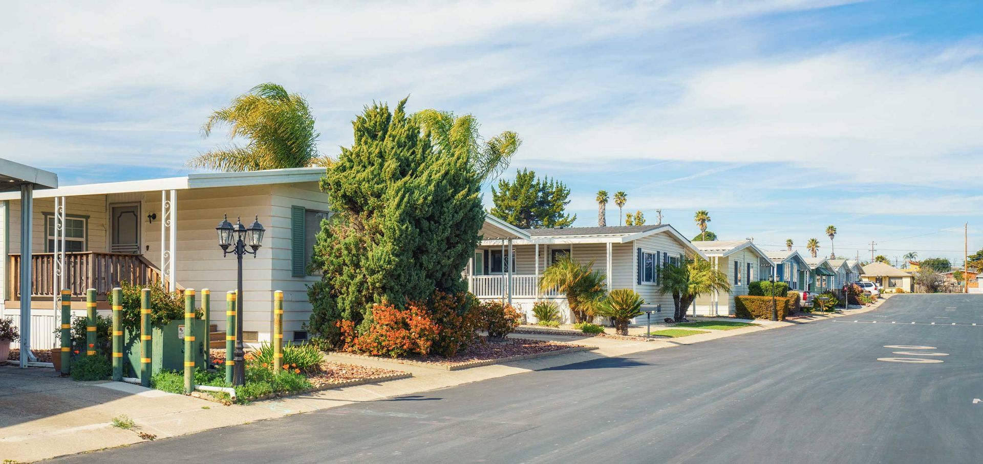 Row of mobile homes lined along a quiet street with landscaping and palm trees.