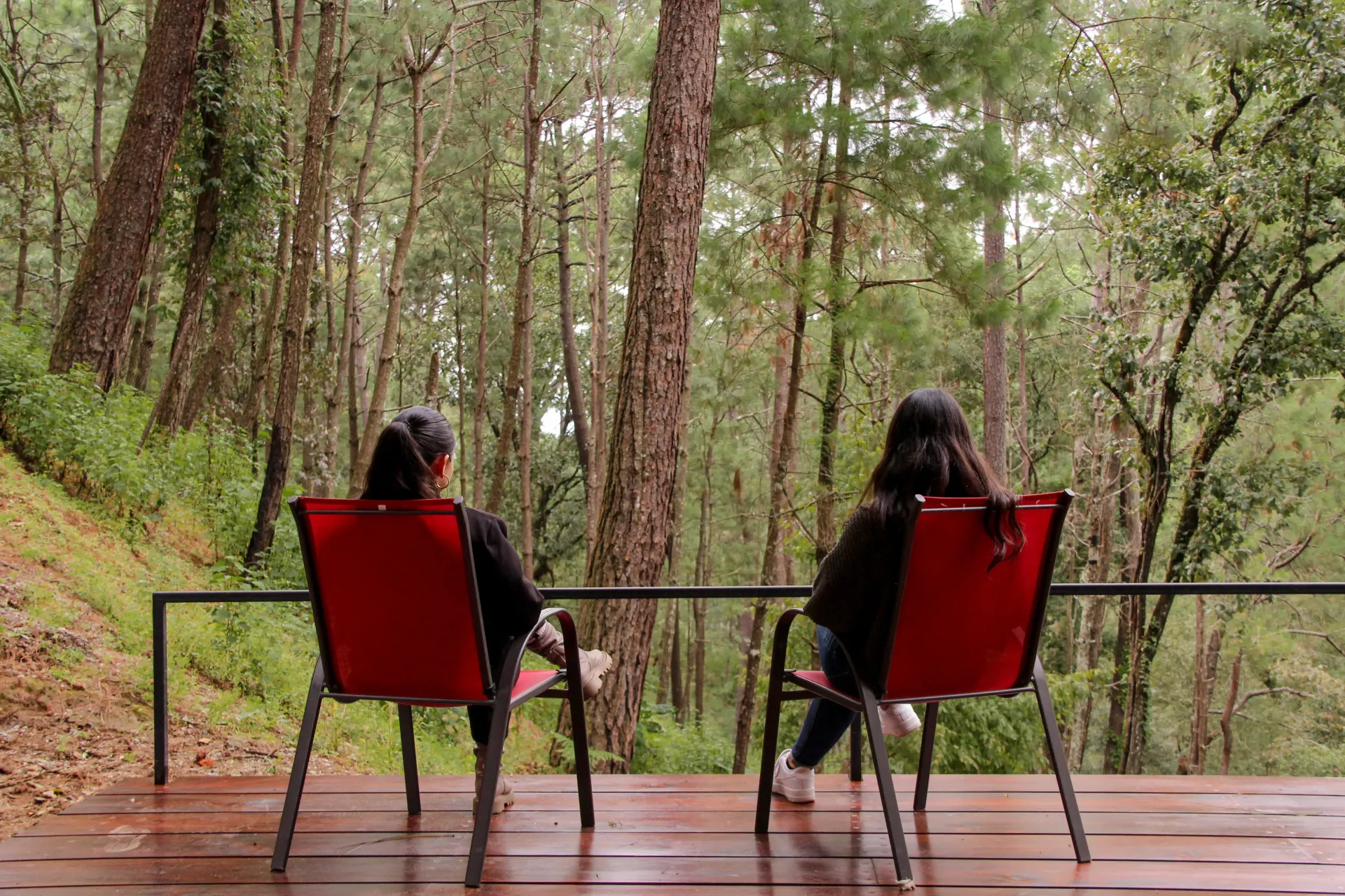 Dos personas están sentadas en sillas rojas sobre una terraza de madera, frente a un bosque verde.