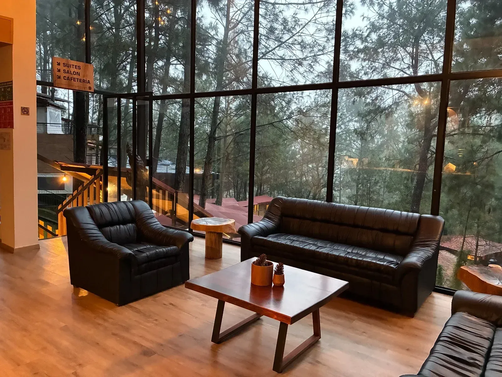 Salón moderno con sofás de cuero negro, mesa de centro y ventanales que van del suelo al techo con vistas a los árboles.