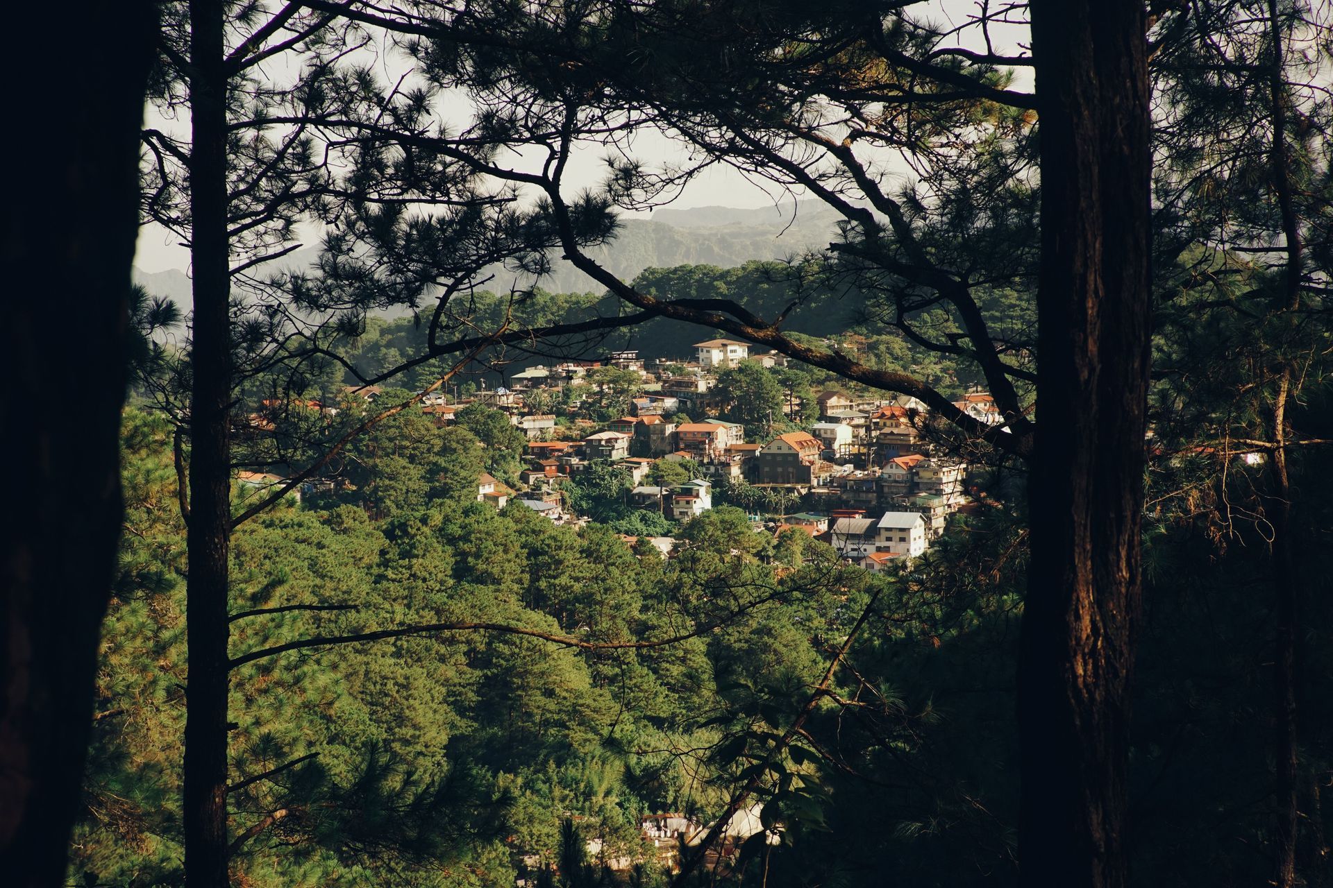 Vista de un pueblo en la ladera de una colina, enmarcada por el bosque, con casas de tejados rojos al fondo.