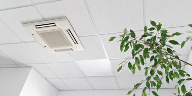 Ceiling vent and white ceiling tiles with a green leafy plant in the corner