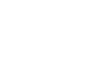 Business White Logo