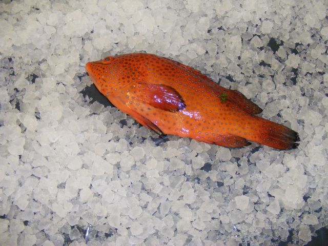 butter fish holcombe market thompsons seafood fish tottenham fresh local fishmongers n17