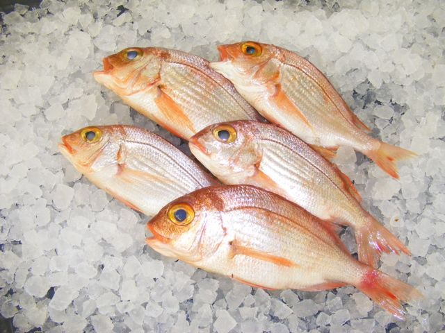 pagraw holcombe market thompsons seafood fish tottenham fresh local fishmongers n17