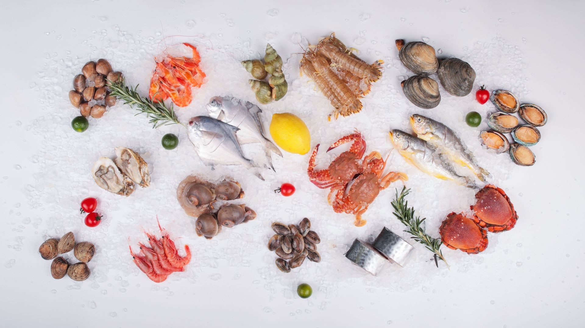 fishmongers tottenham