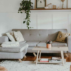 A cozy, well-lit living room featuring a grey couch, wooden coffee table, white bookshelf, and trailing house plants.