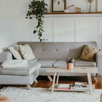 A cozy, well-lit living room featuring a grey couch, wooden coffee table, white bookshelf, and trailing house plants.