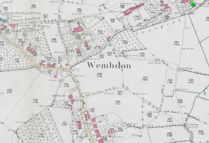 The Wild Woman of Wembdon