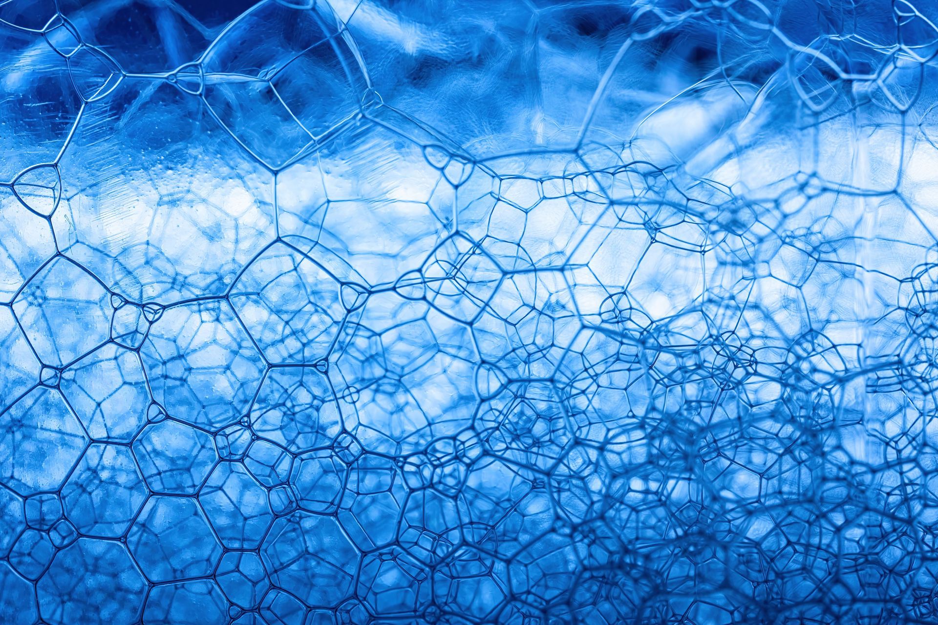 Biological aging and cellular changes accompanying research on GLP-1 medications and aging