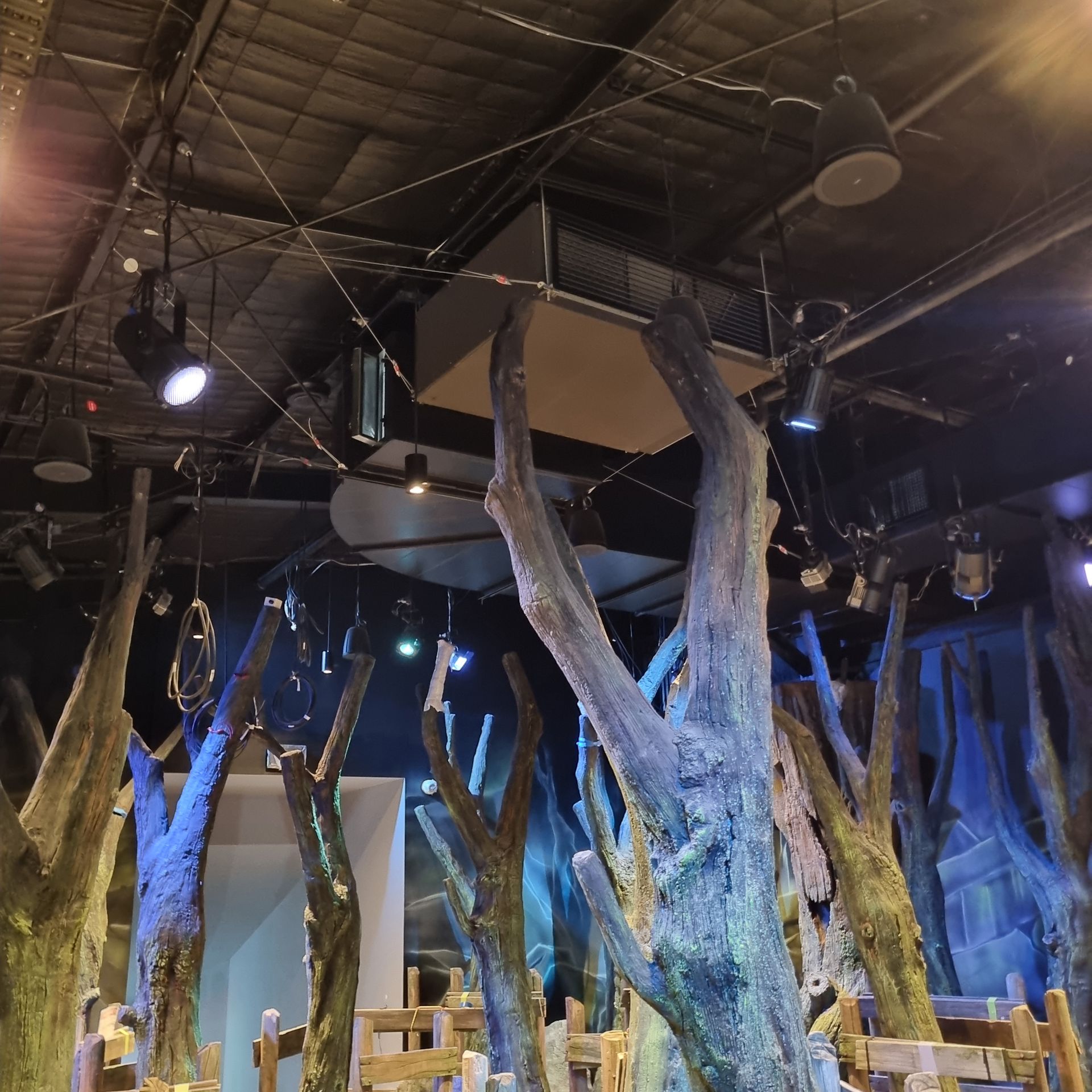 Indoor art installation with tall, blue-lit tree-like sculptures under a dark ceiling