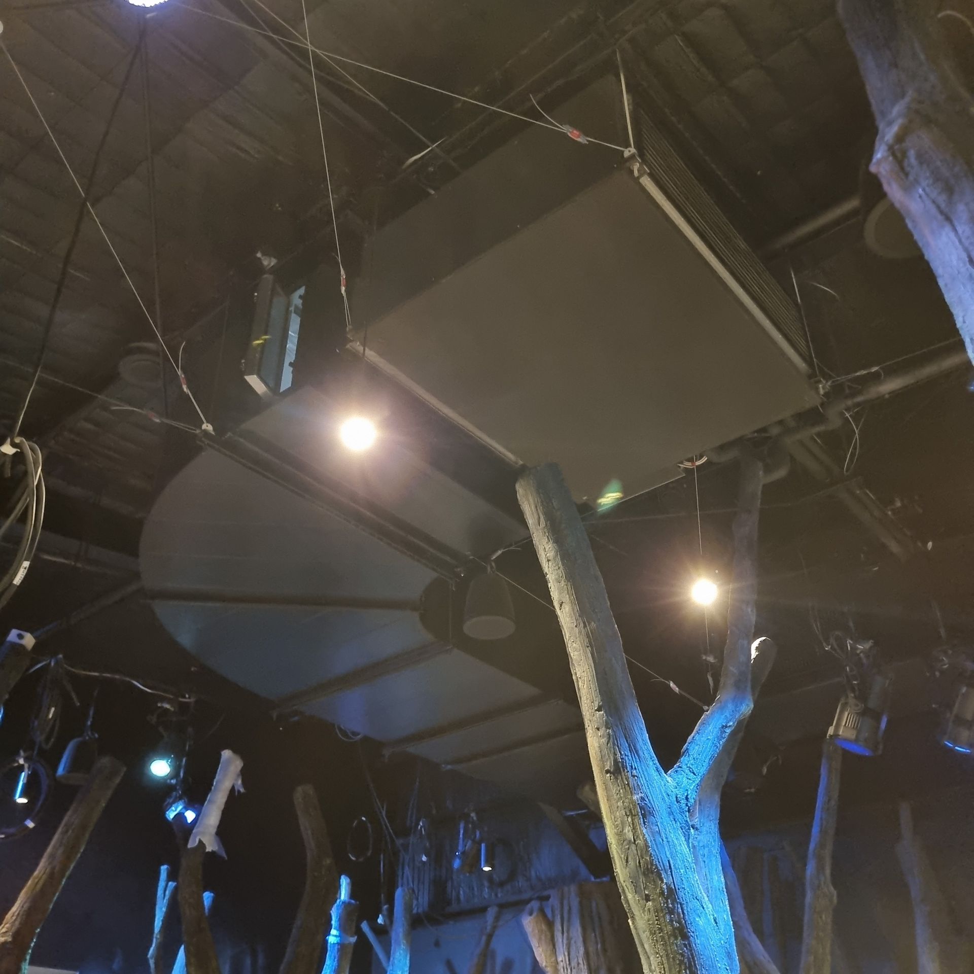Ceiling of an immersive exhibit with dark panels, spotlights, and a sculptural tree-like form