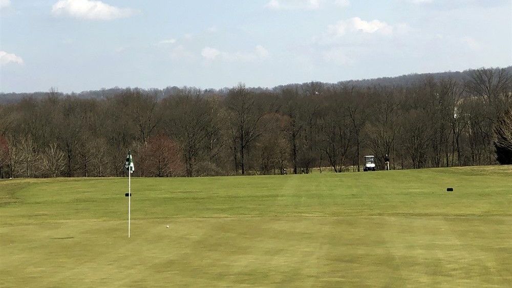 Golf green with flagstick, fairways, and trees in the background under a sunny sky.