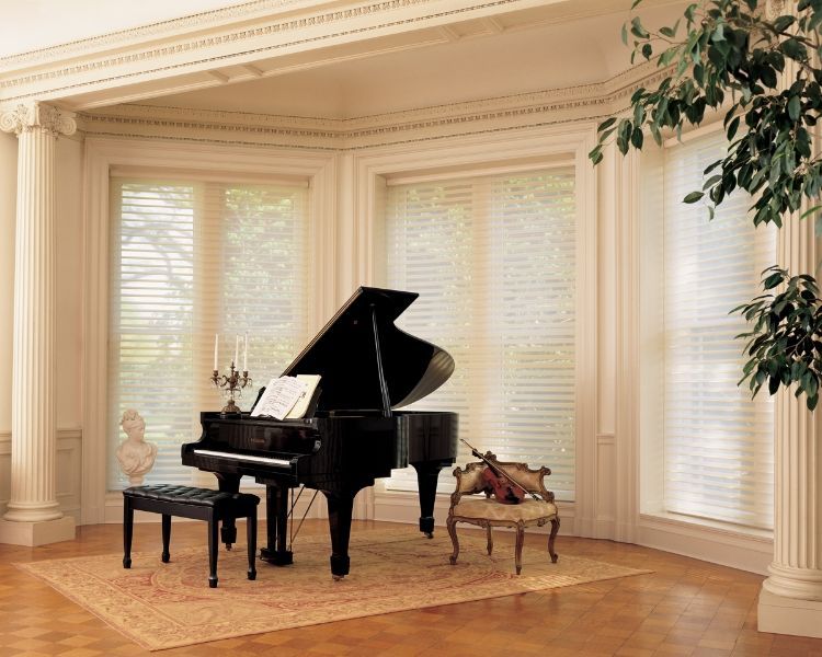 Large Room Window Shades – Orange County, CA – Designing Women of OC
