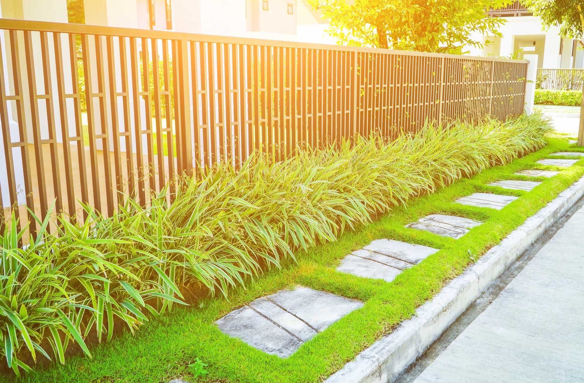 Sunlit garden path with stepping stones beside a wooden fence and green plants