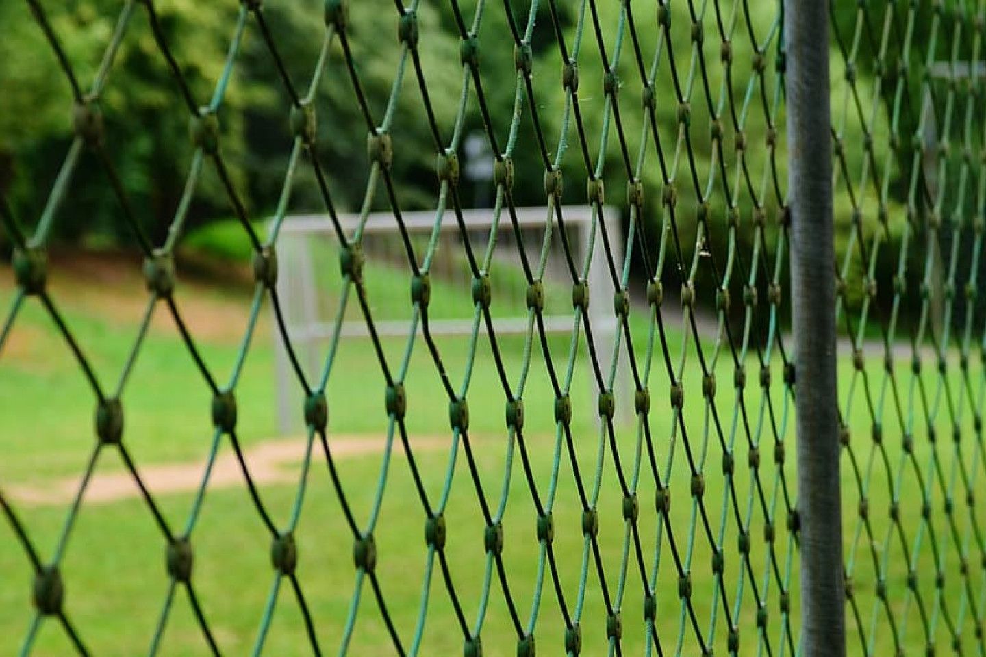 Black chain-link fence with green park background beyond it