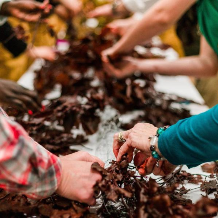 Hands sorting red seaweed in a pile, with several people reaching in from around a table.