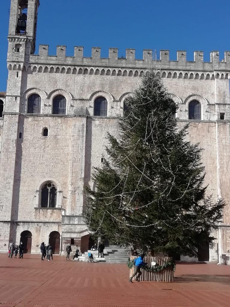 albero di natale