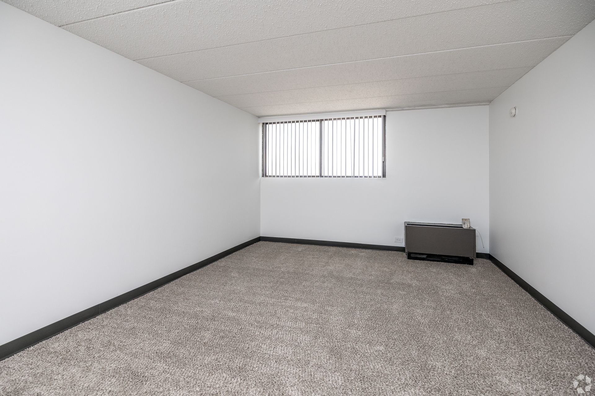 The McCoy @ 8035 Apartments For Rent Newly Remodeled