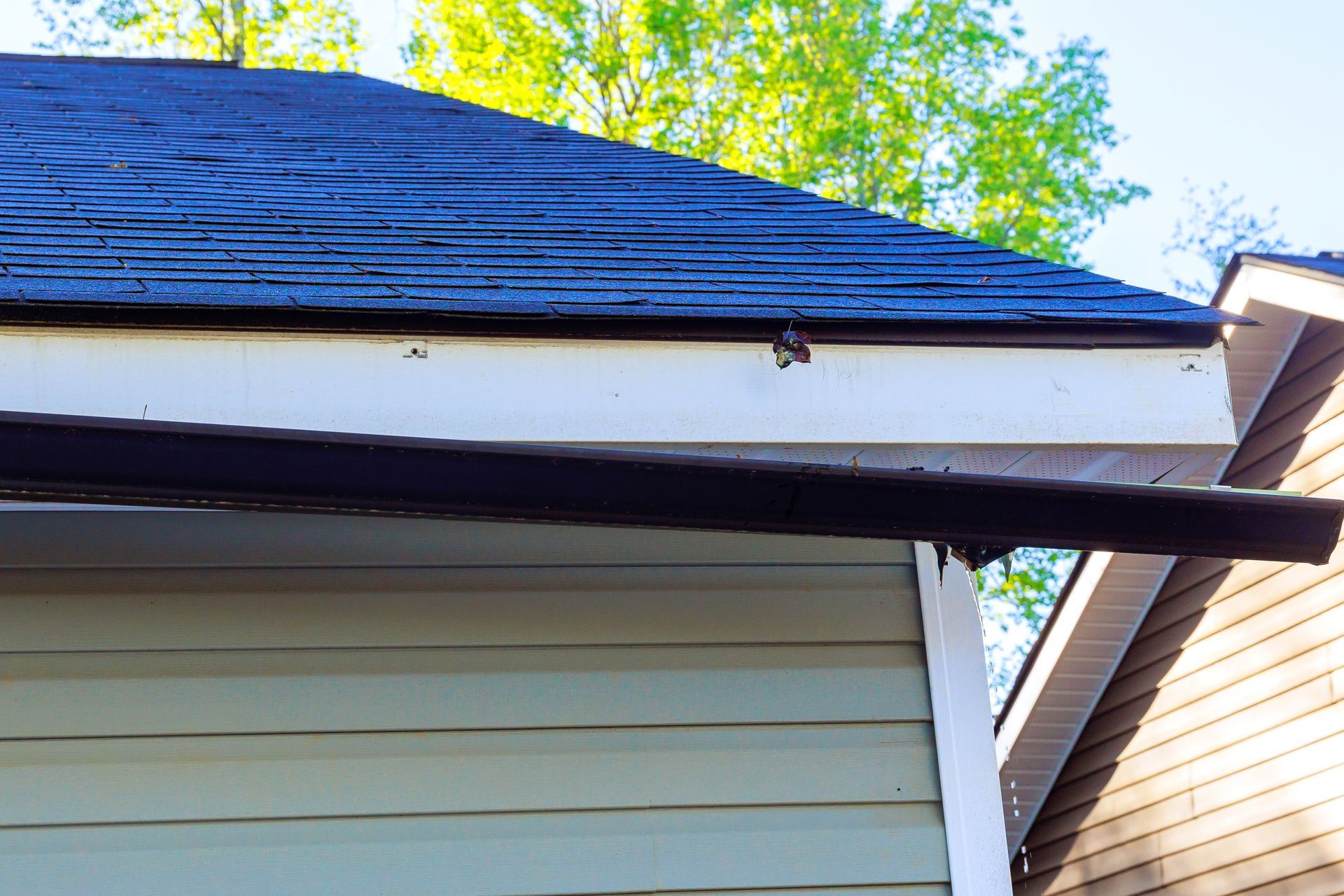House eaves with dark shingles and white siding, viewed beside a neighboring roof and trees.