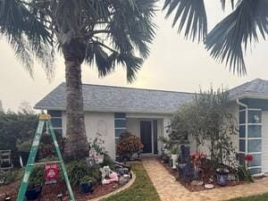 Single-story house with a palm tree, garden plants, and a front walkway