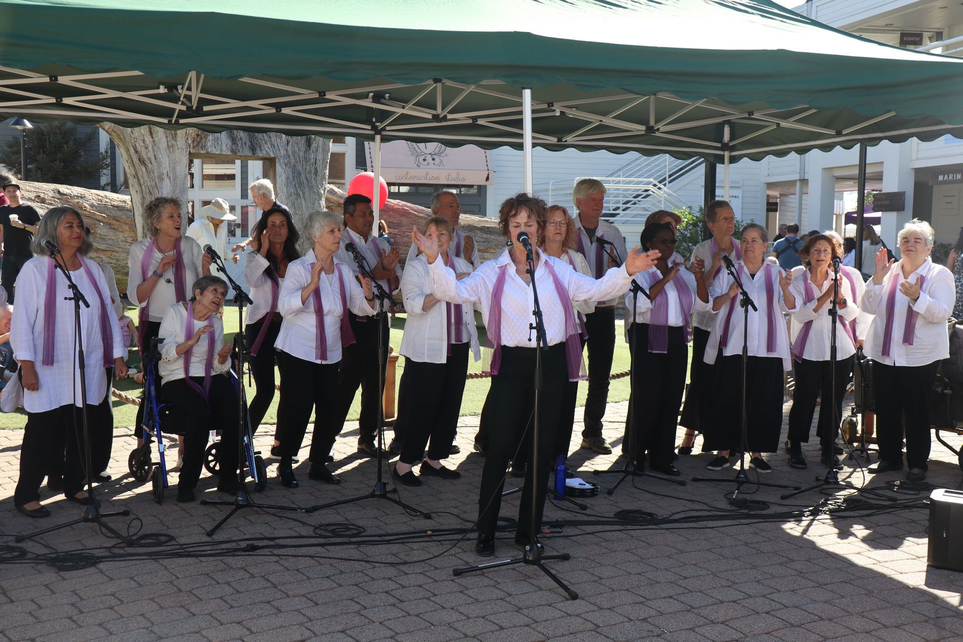 Choir performing outdoors under a green canopy, with microphones and music stands in front.