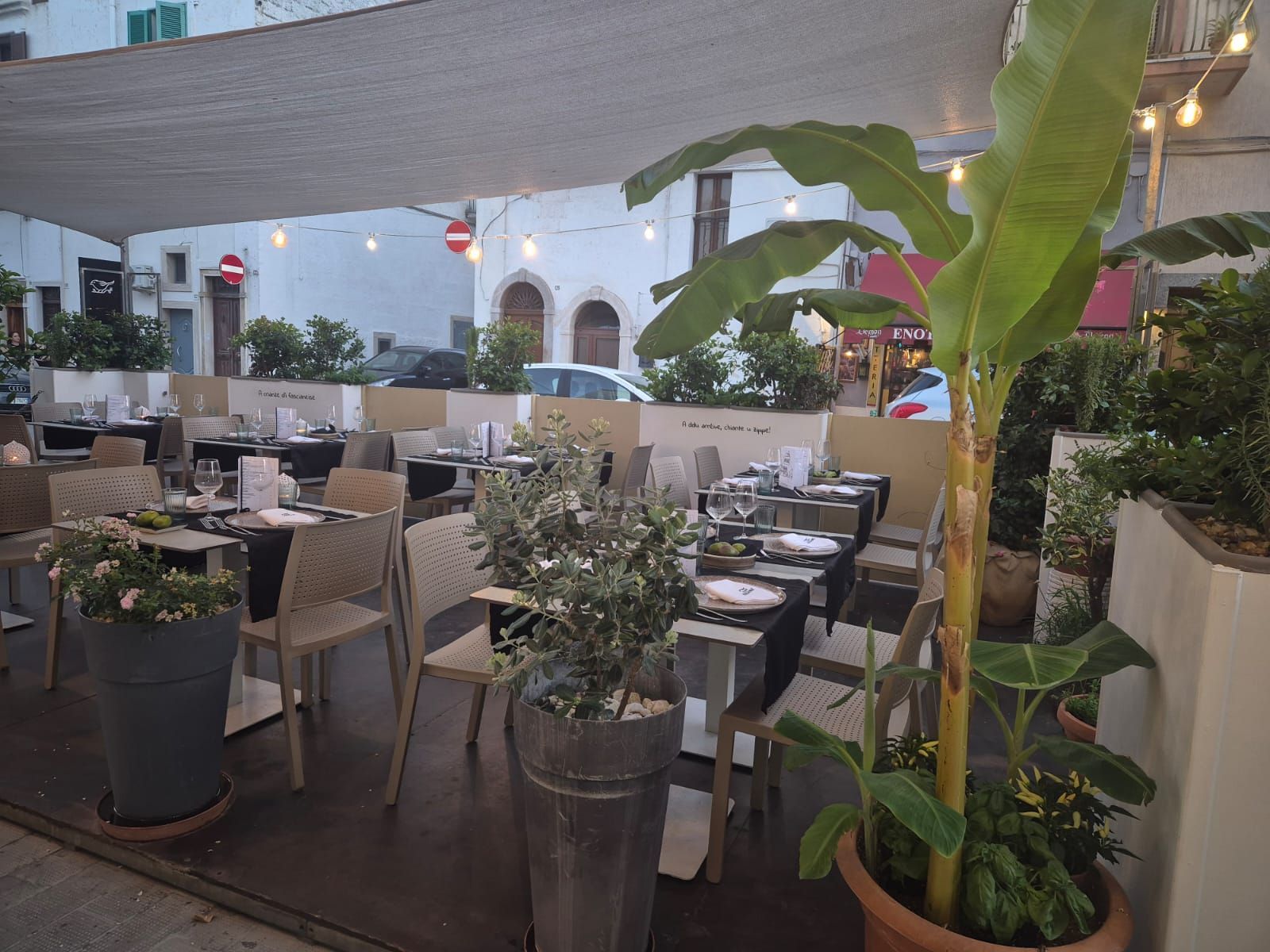 Terrazza esterna del ristorante con tavoli, sedie e piante tropicali in vaso sotto una tettoia.