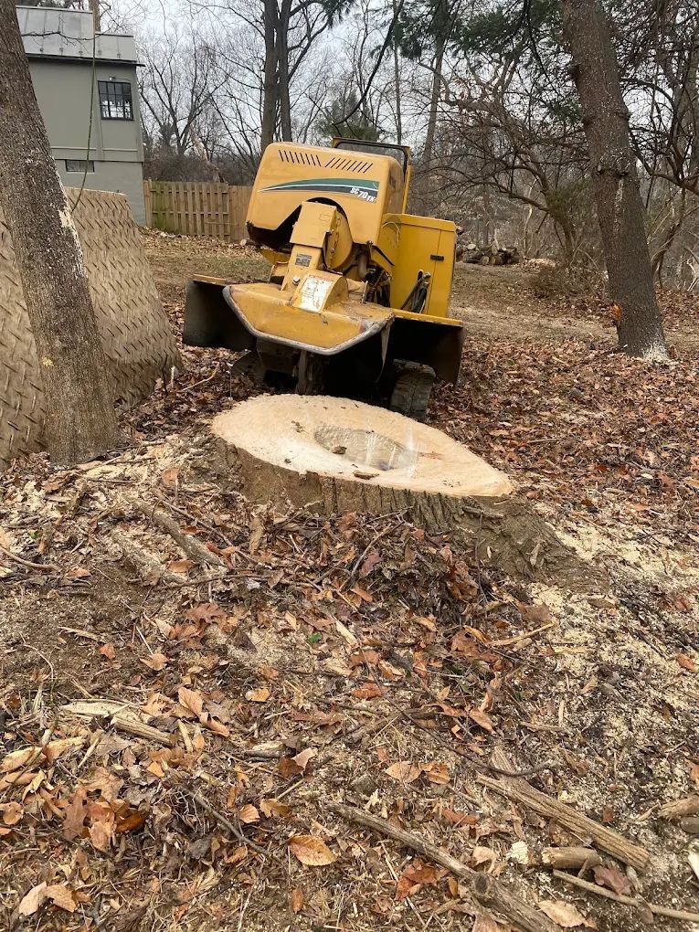 Yellow wood chipper beside a large tree stump in a leaf-covered yard near a house