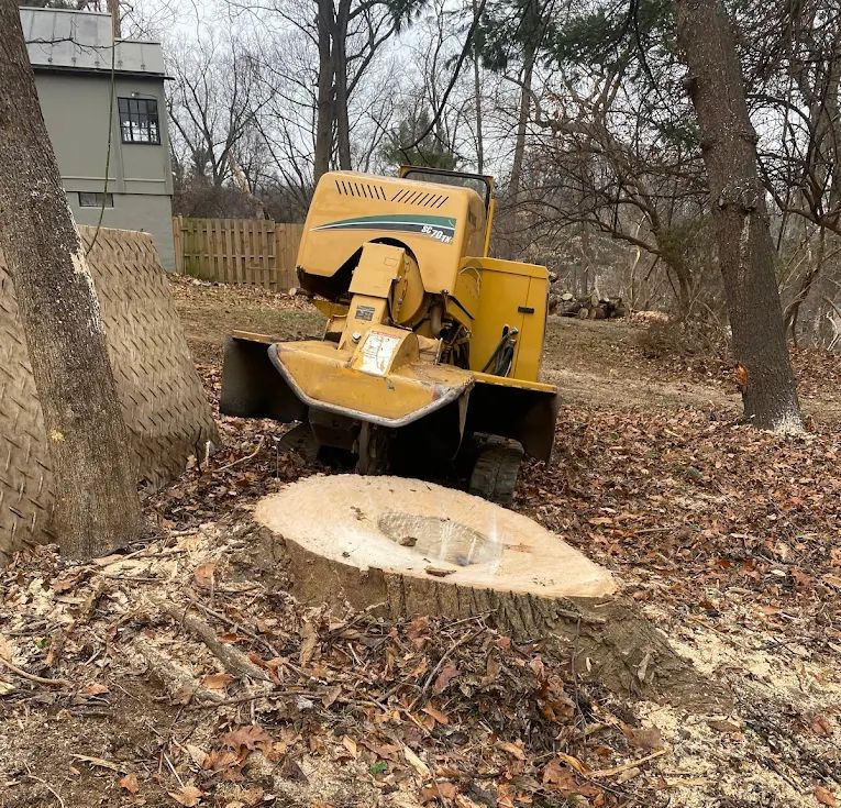 Trees — Man Cutting a Tree Stump in Gaithersburg, MD Yellow wood chipper feeding a large tree stump in a leaf-covered yard beside a house